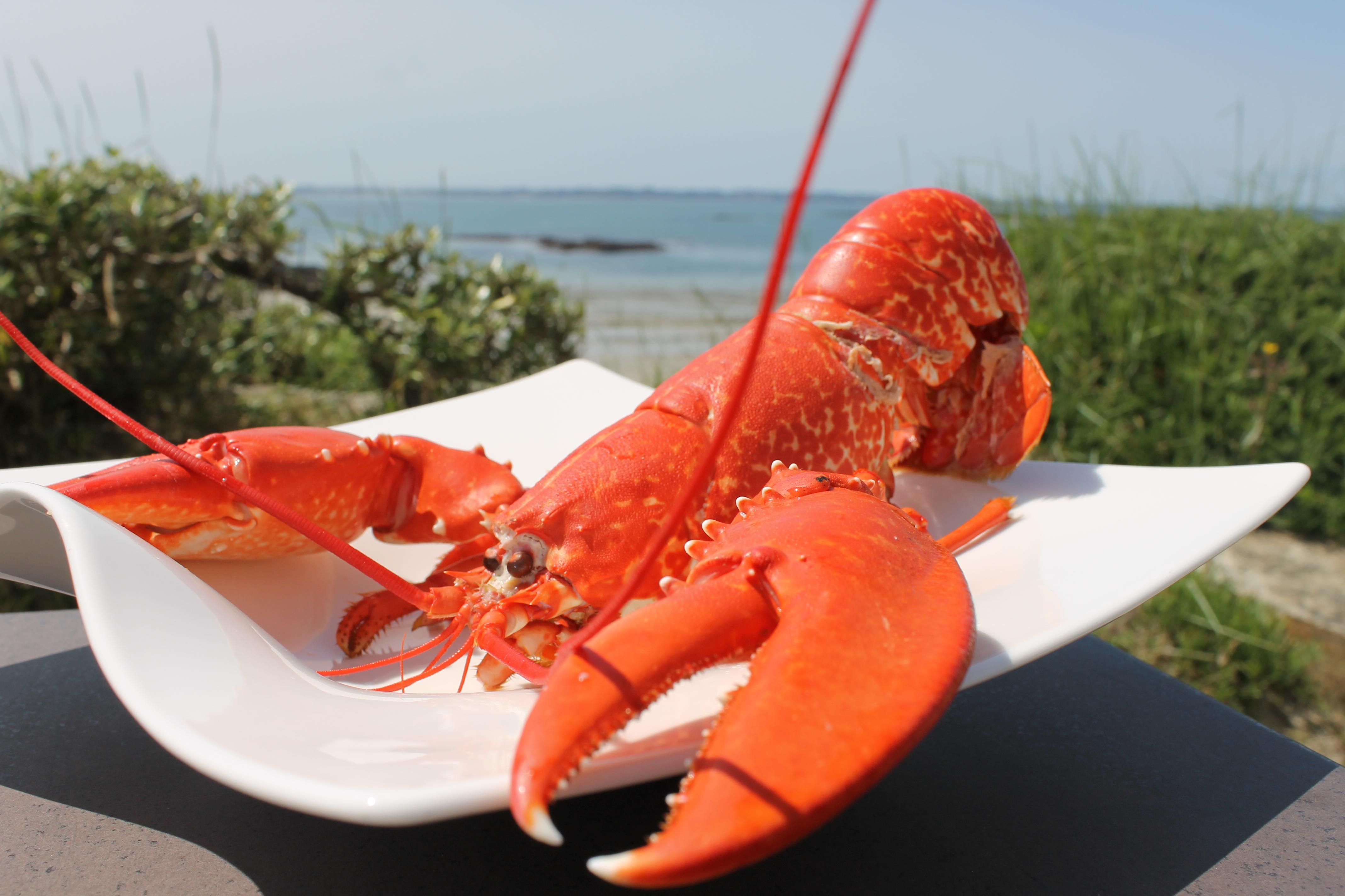 Logis Hotel & Restaurant Les Mouettes - Larmor Plage, Proche De Lorient エクステリア 写真