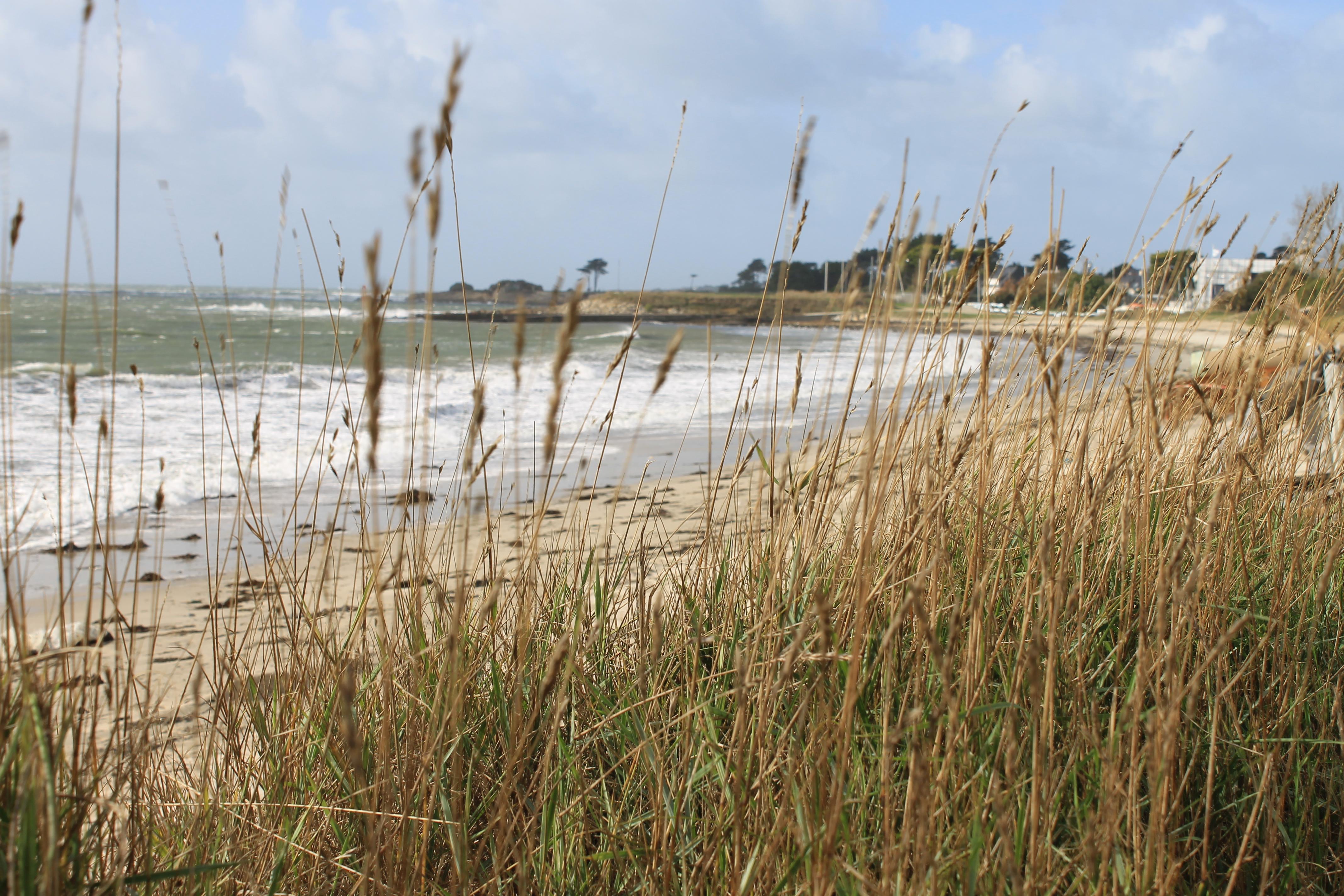 Logis Hotel & Restaurant Les Mouettes - Larmor Plage, Proche De Lorient エクステリア 写真