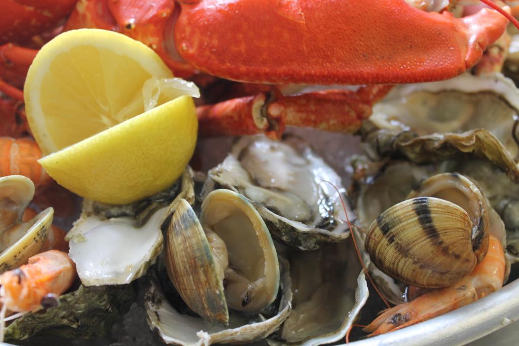 Logis Hotel & Restaurant Les Mouettes - Larmor Plage, Proche De Lorient エクステリア 写真